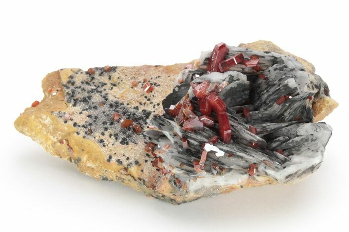 Sparkling, Ruby Red Vanadinite Crystals on Barite - Morocco #223638